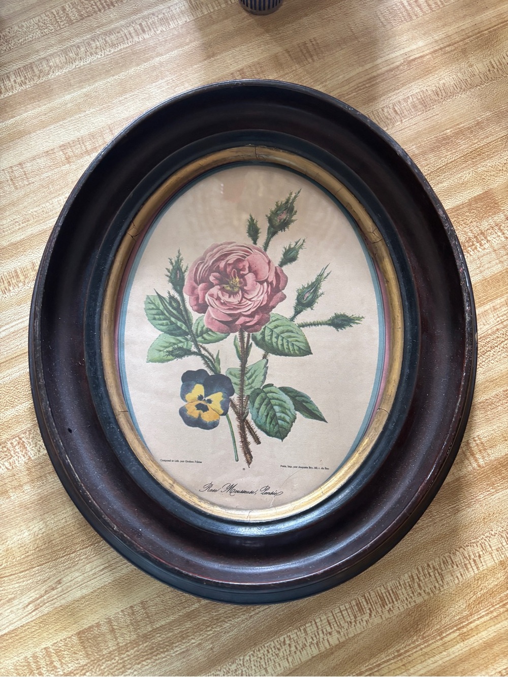 Vintage Floral Oval Wall Art - Pink Rose in Brown Frame